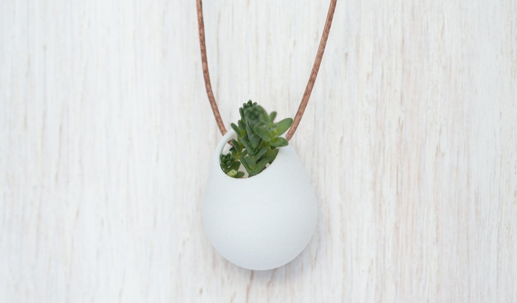 Fauna vestible: plantas en diminutas macetas que se usan como accesorios