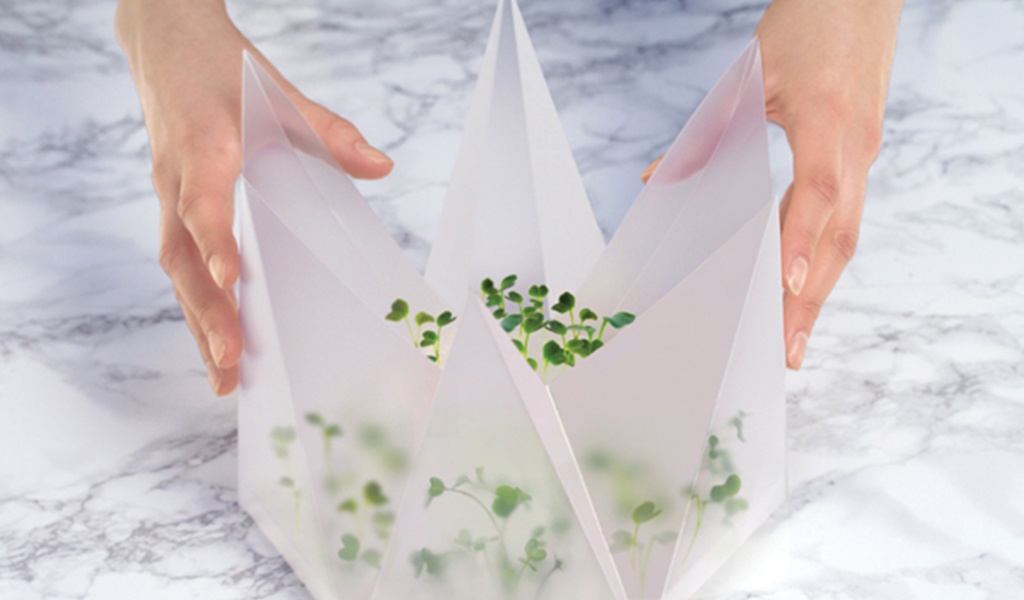 Micro Green Growing Kit: cultivar en casa